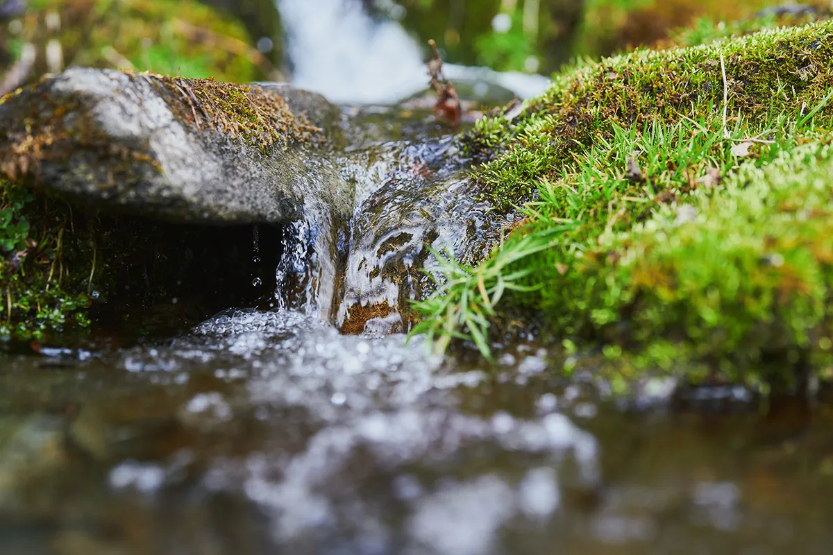 苔むした岩の間を流れる蓼科の湧き水