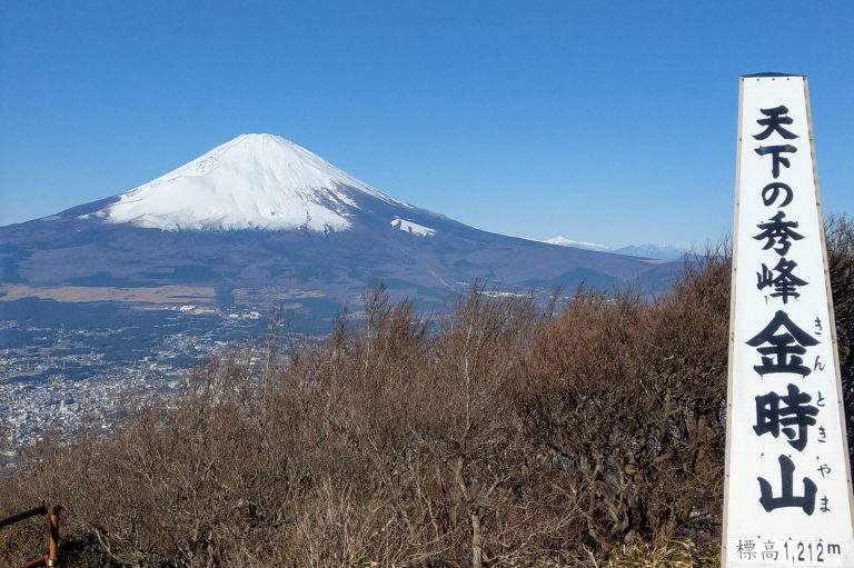 スタッフと一緒に登る金時山(1,212m)登山・中級（健脚コース）【神奈川県・箱根】