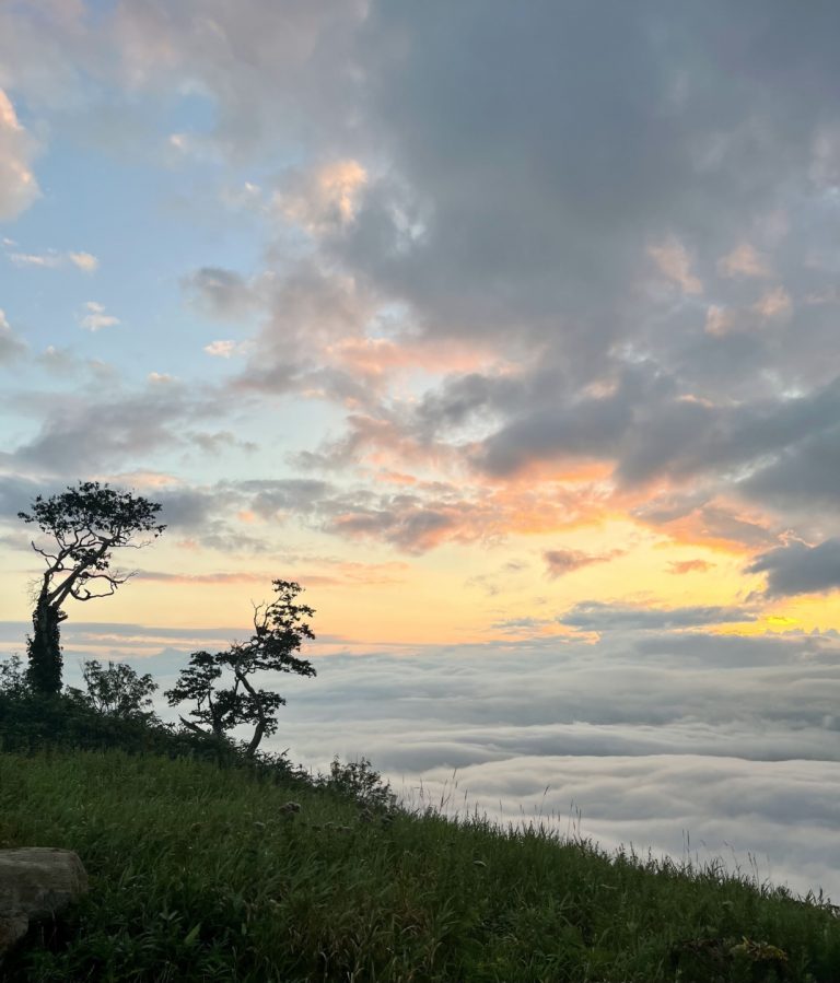 夏のニセコで極上の朝を楽しむ「SUNRISE GONDOLA」【北海道・ニセコ】