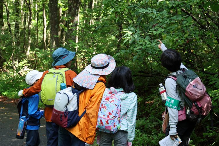 とうきゅう親子自然観察会【群馬県・玉原】