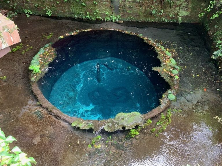 柿田川ツアー【静岡県・伊東】