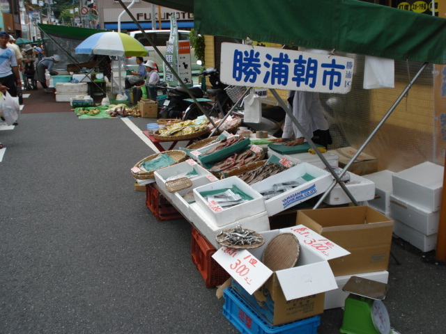 地元ガイドさんと勝浦散歩【千葉県・勝浦】