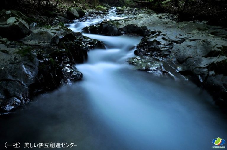 ジオガイドと歩く伊豆半島ウォーク～滑沢渓谷から太郎杉へ～<br>【静岡県・天城高原】