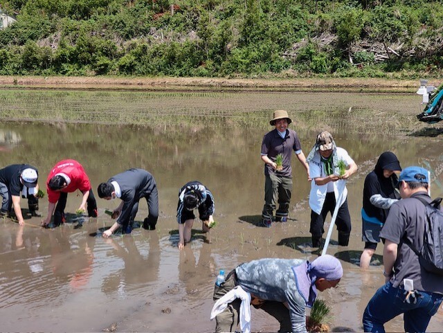 那須ブランド米の田植え体験【栃木県・那須】